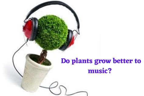 do plants grow better with music that plays Beethoven's symphonies